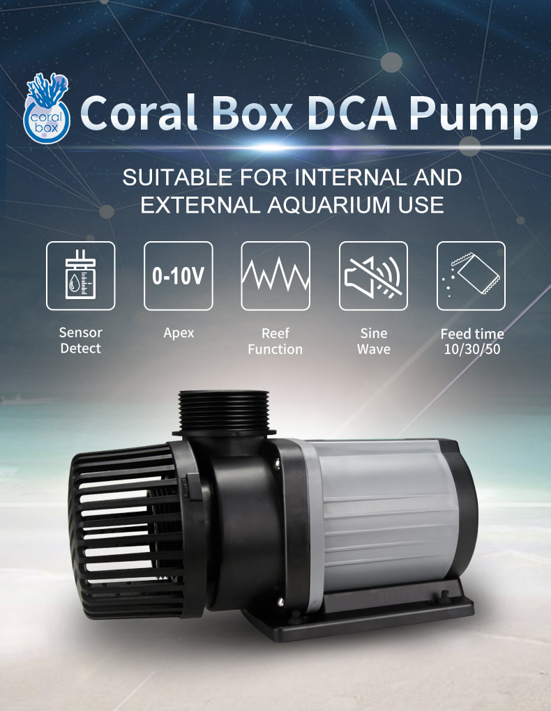 DCA Pump - Coral Box