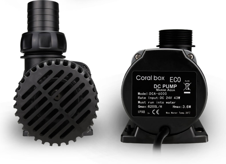 DCA Pump - Coral Box